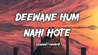 Deewane Hum Nahi Hote  Lofi Song Slowed and Reverb  Lastest Hindi Song [upl. by Nitnerb]