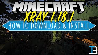 XRay 1181 Texture Pack  How to Download XRay on Minecraft 1181 [upl. by Nies]