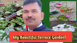 My Beautiful Terrace Garden माझे सुंदर टेरेस गार्डन My Vlog Gardening Beautiful Flowers [upl. by Llemej811]