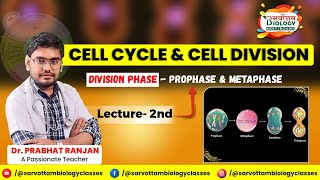 CELL CYCLE AND CELL DIVISION  L2  DIVISION PHASE  PROPHASE AND METAPHASE  NEET  BOARD [upl. by Phenice]