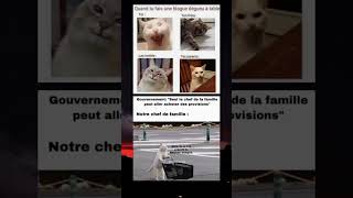 721 paquets de Whiskas Compris 🤣🤣 drôle memes music rap [upl. by Eigna348]