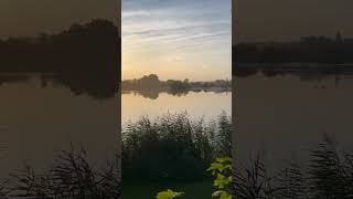 Old Alresford Pond at Sunrise with Ducks Swans and Moorhens  Stunning South Downs again 🦆🦢 [upl. by Paza905]