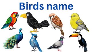 Birds namebirds name with spelling and pictureBirds name in englishBasic english learning [upl. by Htevi150]