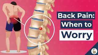 Low Back Pain Causes and 7 Worrying Signs [upl. by Aliekahs747]