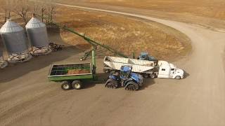 Flax harvest 2017 Canada MY AGRO [upl. by Eilasor379]