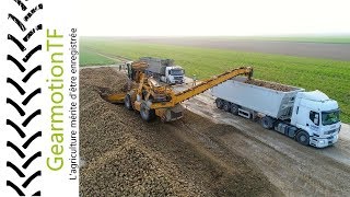 Sugar beet loading  Kleine Beet Cleanliner RL 350 [upl. by Clauddetta844]