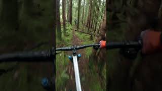 Steep chutes on the Sunshine Coast  mtb mountainbike mountainbiking gopro [upl. by Otit218]