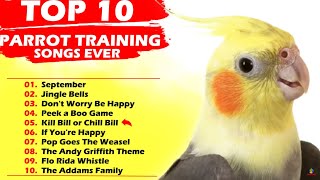 TOP 10 PARROT TRAINING SONGS EVER Whistle Training Teach Your Bird Cockatiel Singing Budgie [upl. by Lirpa]