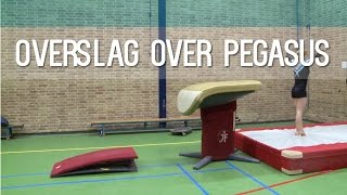 Hoe doe je een overslag over de pegasus  Typisch Turnen [upl. by Normie]