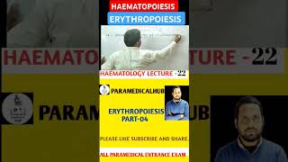 haematology haematopoiesis mlt haemopoiesis erythropoiesis formationofblood mlt bmlt [upl. by Jedediah]