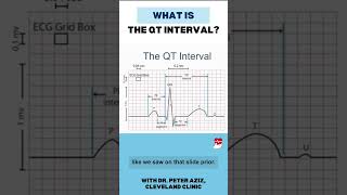 What is the QT interval [upl. by Dominic]