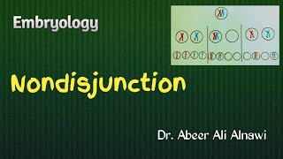 7 Embryology Nondisjunction  Dr Abeer Ali Alnawi [upl. by Elmajian]