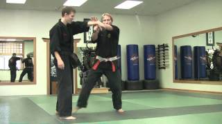 Kodenkan DanZan Ryu Tessen No Maki with Shihan Russ Rhodes [upl. by Annatnas]