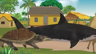 horse fish hi Rahana Kachhua fish khargosh tigeranimals cartoon viralvideo [upl. by Harmonia515]