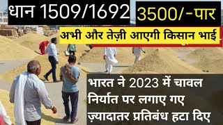 धान के भाव 06 अक्टूबर 2024  dhan ke bhav  1509 dhan ke bhav  basmati dhan mandi bhav 1509धान [upl. by Ul]