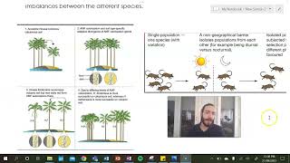 Sympatric Speciation [upl. by Alansen]