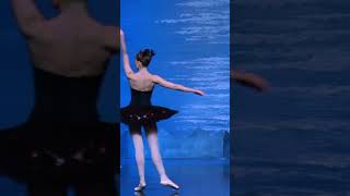 Russian ballet black swan dance swan lake ballet [upl. by Cyrillus507]