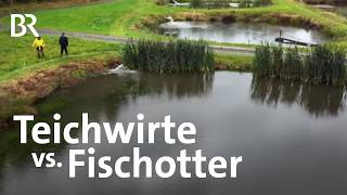 Dürfen Fischotter zum Schutz der Fischzucht gejagt werden  Landwirtschaft  BR [upl. by Lilli]