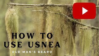 How to Use Usnea or Old Mans Beard [upl. by Yolande]