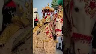 looti Karbala mein nabi ki nishani karbala hassan youtubeshorts shortsvideo [upl. by Odie]