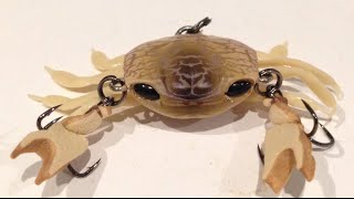 CRANKA CRAB LURE REVIEW with underwater action and hook ups [upl. by Eelrebmik]