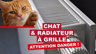 Chat amp radiateur à grille  attention danger [upl. by Rehtae182]