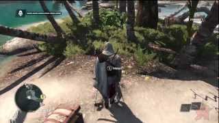 Assassins Creed IV Treasure 901 263  Punta Guarico [upl. by Dory]