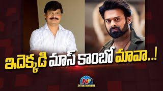 Prabhas amp Boyapati Srinu New Movie Update  NTV ENT [upl. by Gonzalo]