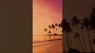 Tropical Beach amp Palms Trees on a Island Ocean Sounds Yellow Sunset White Noise for Sleeping [upl. by Maye]