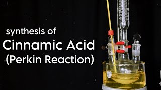 Cinnamic Acid  Organic Synthesis  Perkin Reaction [upl. by Neelrak767]