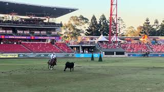 Sydney Royal Easter Show 2024 Day 4 Troy Palmer Campdrafting Round 4 [upl. by Nor999]