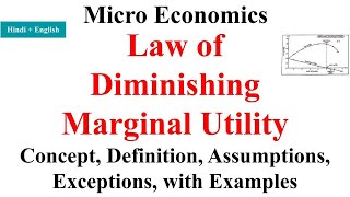 Law of Diminishing Marginal Utility Law of Diminishing Returns law of diminishing returns economic [upl. by Brandwein]