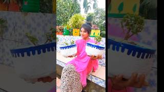 How to make cement flower vase shots shortvideo priyankasunlimetedteaching [upl. by Clarette429]