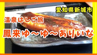 【愛知県新城市】温泉〜はしご旅「鳳来ゆ〜ゆ〜ありいな」 の湯を満喫 【静岡県島田市】kadode大井川で漆黒のSLソフト・レトロな電車 [upl. by Mikkel]