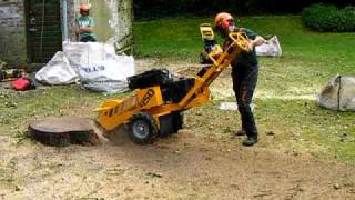 Stump Grinder Predator P450 [upl. by Carper]