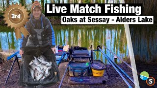 Live Match Fishing  The Oaks at Sessay Alders Lake [upl. by Anivram]