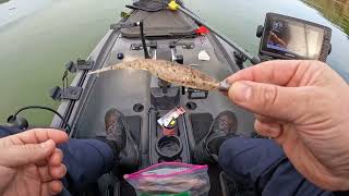 Kayak Bass Fishing at Lake Berryessa Capell Cove [upl. by Lash]