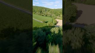 Gliding over the cornfields 🌽🚁 fpv cinematic [upl. by Nylkaj]