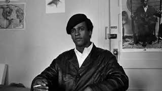 Huey Newton on Guns amp Gun Control 1968 [upl. by Anayad939]