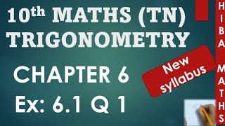 10th maths chapter 6 exercise 61 question 1 tn samacheer hiba maths [upl. by Rosita]