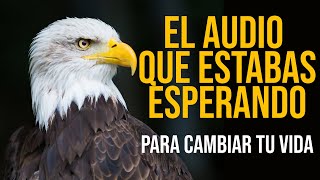 ESTE AUDIO CAMBIARA TU VIDA PARA SIEMPRE  JUAN SALVADOR GAVIOTA [upl. by Cimbura]