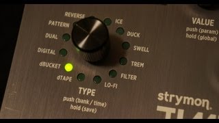 Strymon  Timeline dbucket analog delay [upl. by Anhej]