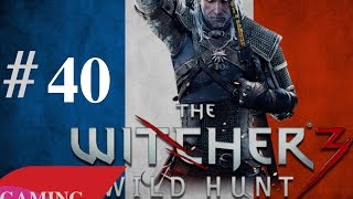 The Witcher 3  Playthrough 40 FR Tuer le Monstre NITHRAL  LA LAMPE MAGIQUE [upl. by Purvis224]