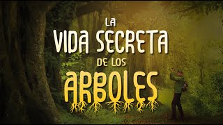 La Vida Secreta De Los Árboles INTRODUCCIÓN Y ENSEÑANZAS [upl. by Ariahay417]