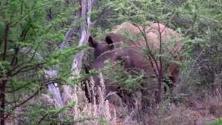 Waterberg Wilderness  Ihre Erlebniswelt am Tafelberg der Kalahari [upl. by Herrick]