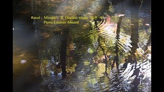 Ravel  Miroirs  II Oiseaux tristes 슬픈 새 [upl. by Lynnell803]