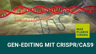 Genediting mit CRISPRCas9 english subtitles [upl. by Komarek828]