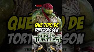 ¿Qué tipo de tortugas son las Tortugas Ninjas de película de Michael Bay TMNT 2014 [upl. by Dun]