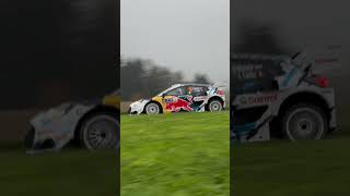 Central Europe WRC shorts wrc [upl. by Ameekahs570]