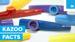 Why the Kazoo is Americas Secret Musical Weapon [upl. by Lynnworth]